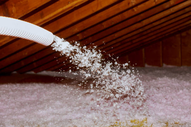 Best Insulation Maintenance and Repair in Meadview, AZ
