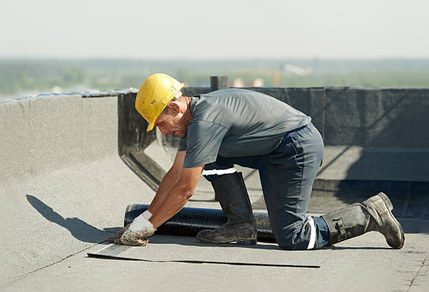 Best Insulation Installation Services in Meadview, AZ