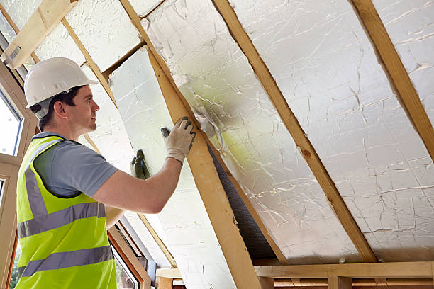 Best Types of Insulation in Meadview, AZ